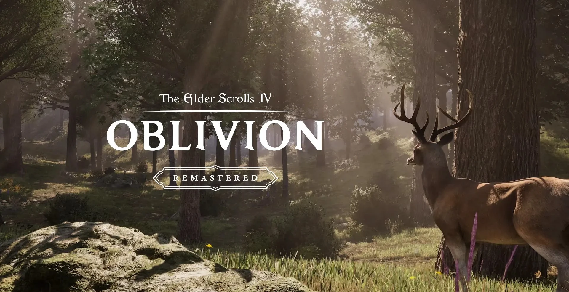 Ремастер The Elder Scrolls 4: Oblivion преодолел отметку в 200 тыс. игроков онлайн в Steam