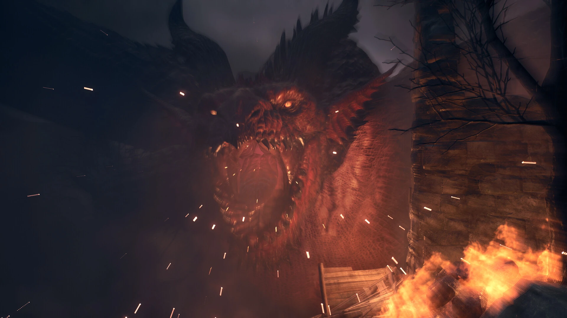 Геймдиректора Dragon's Dogma 2 не удивила неоднозначная реакция на игру