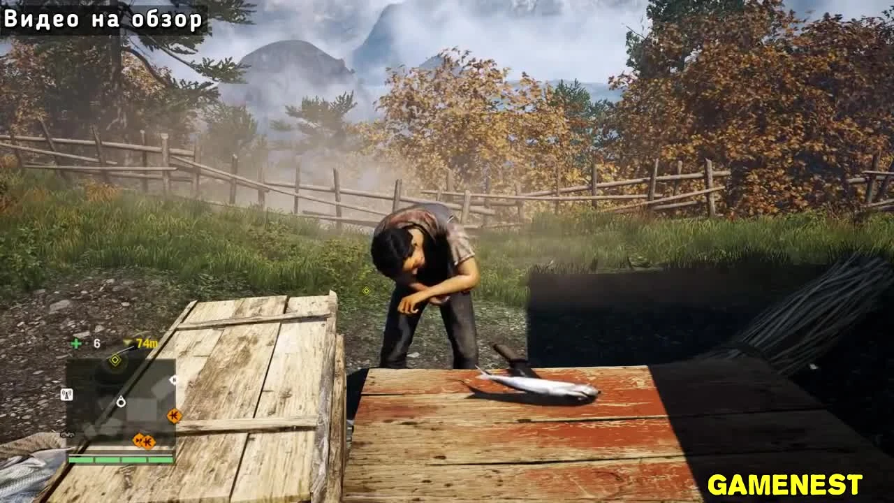 Far Cry 4 "Приколы, глюки, случайности"