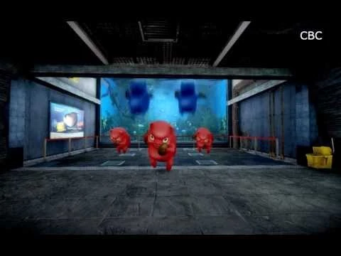 Корейские игроки в Counter-Strike могут выиграть живую свинью