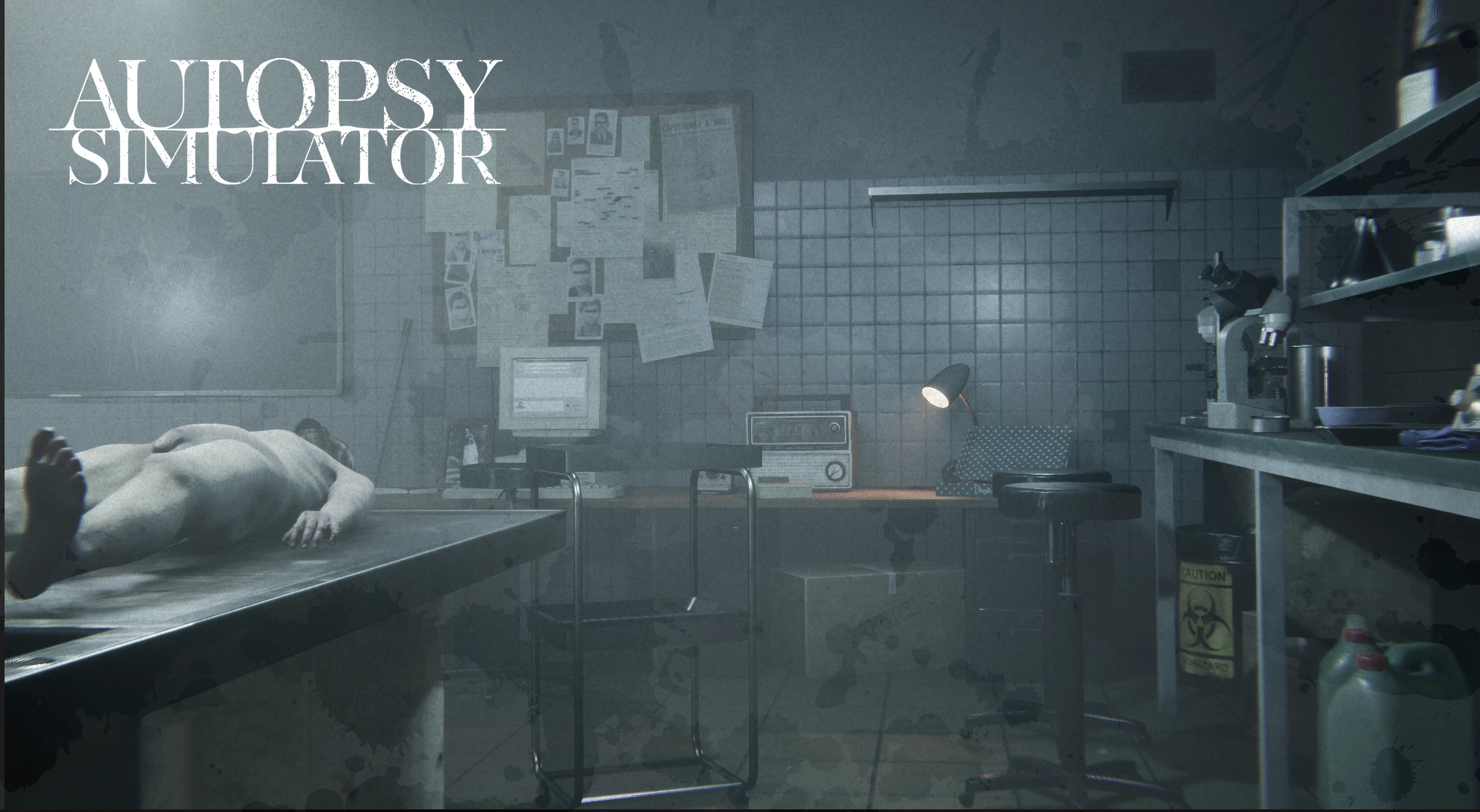 Autopsy Simulator - информация о демоверсии