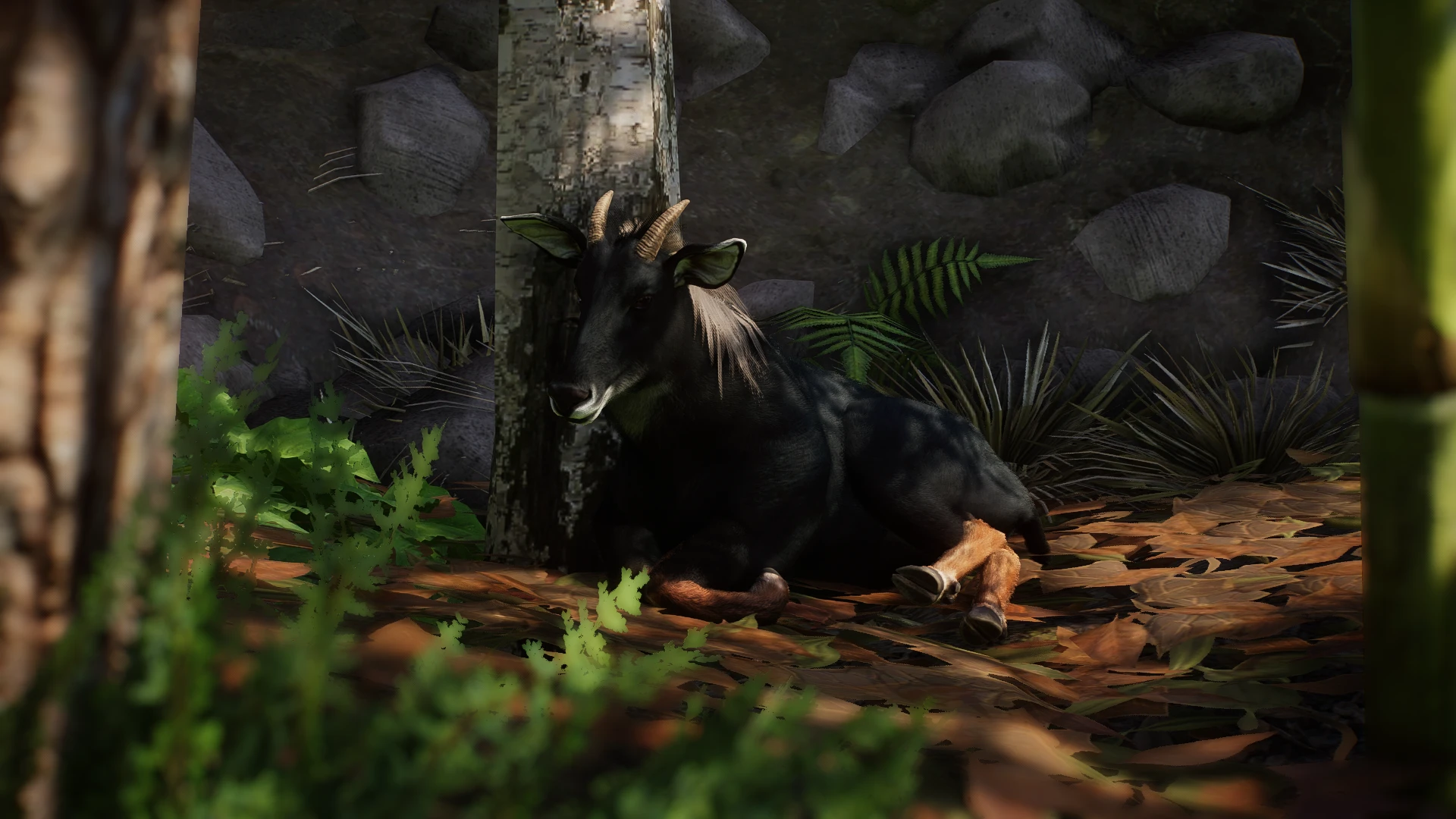 Planet Zoo "Китайский серау"