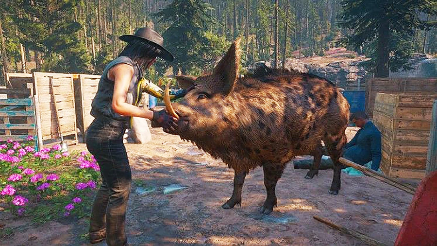 Состоялся релиз Far Cry: New Dawn