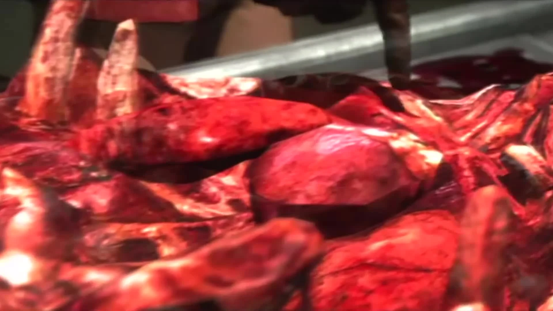 Condemned 2: Bloodshot Игро-клип