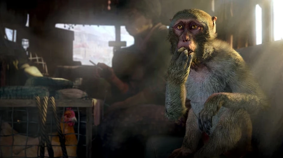 Ubisoft добавила цензуру в Far Cry 4