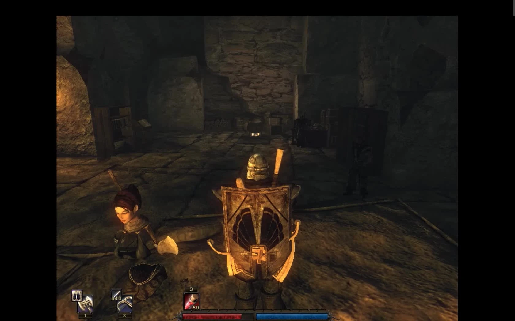 Risen - Немного Багов