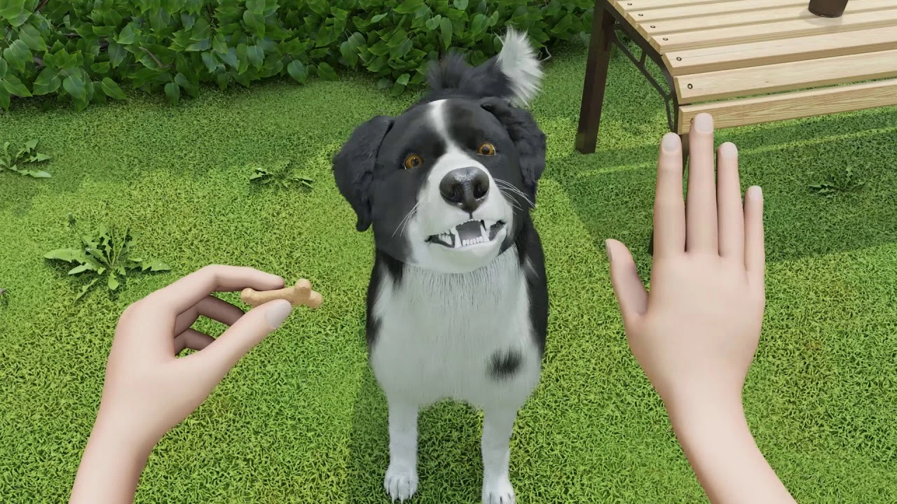 Анонсирован симулятор дрессировки собаки