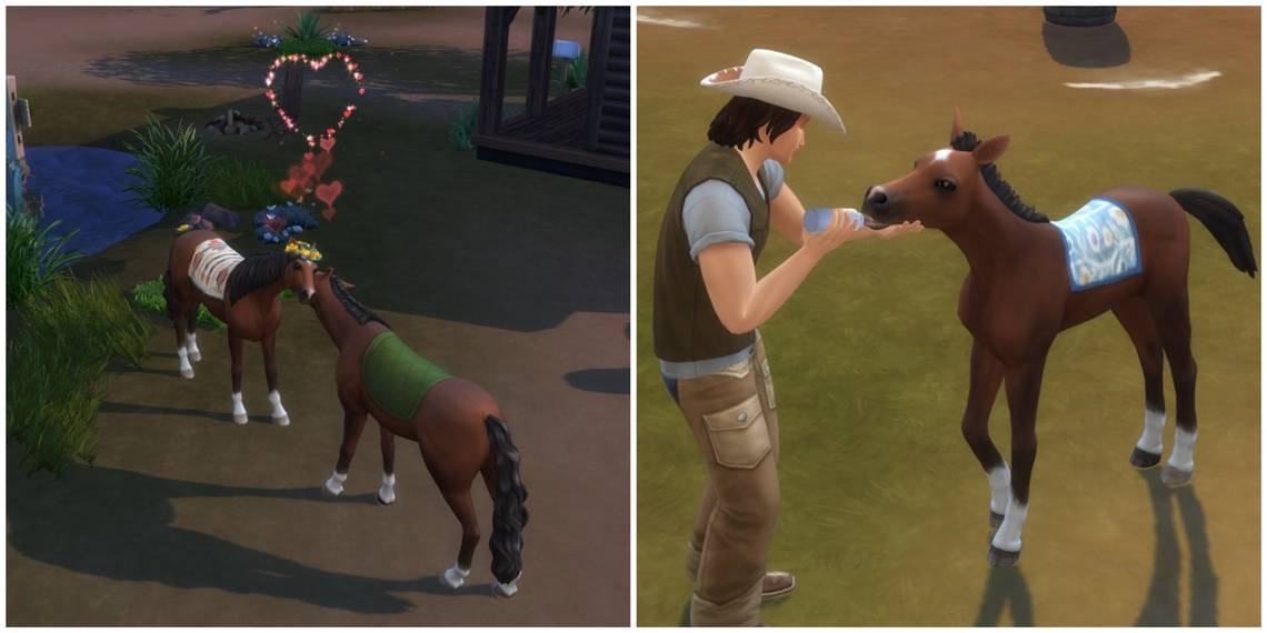 The Sims 4: как завести жеребёнка