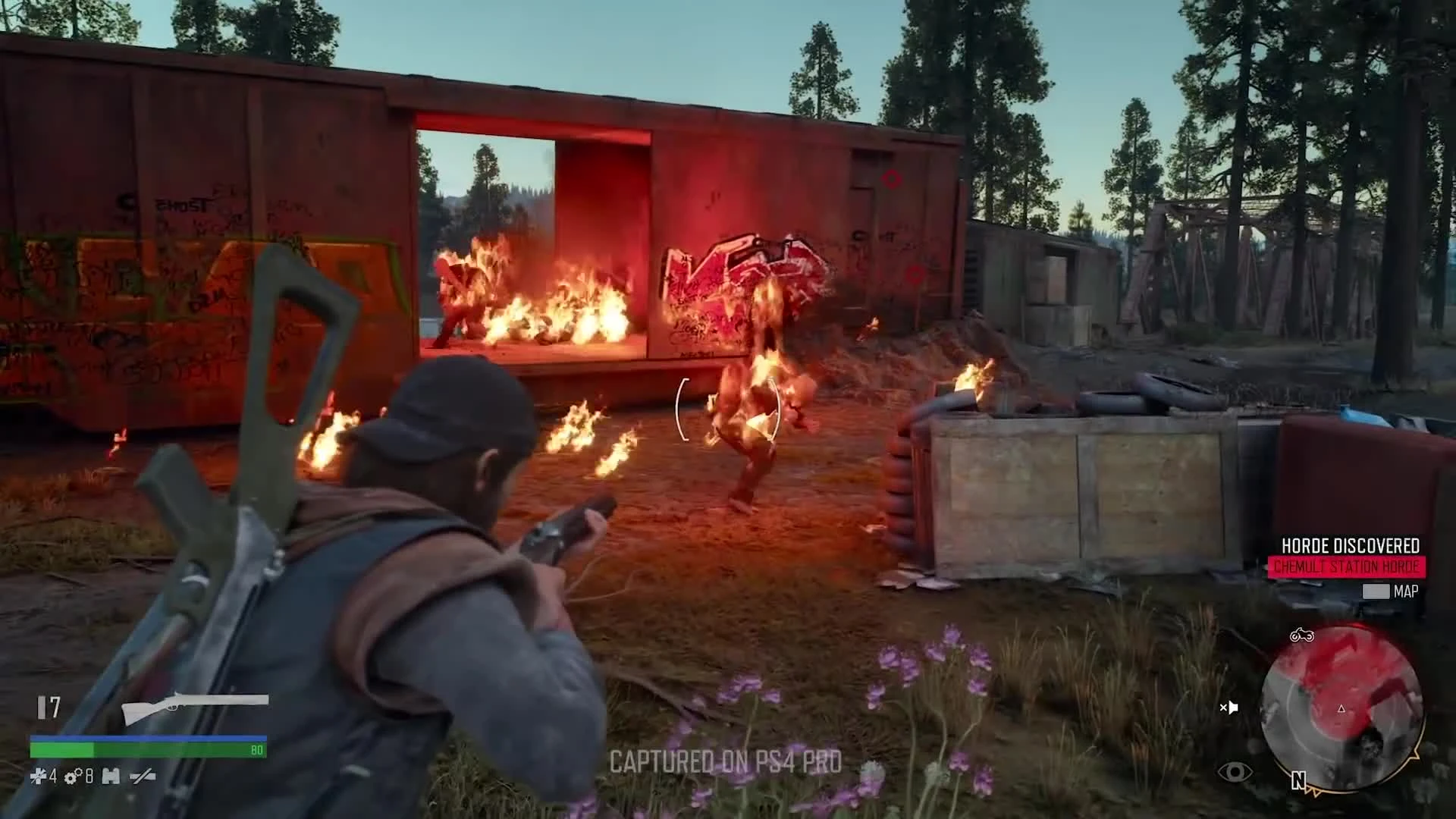 Подборка малоизвестных фактов о зомби-экшене Days Gone