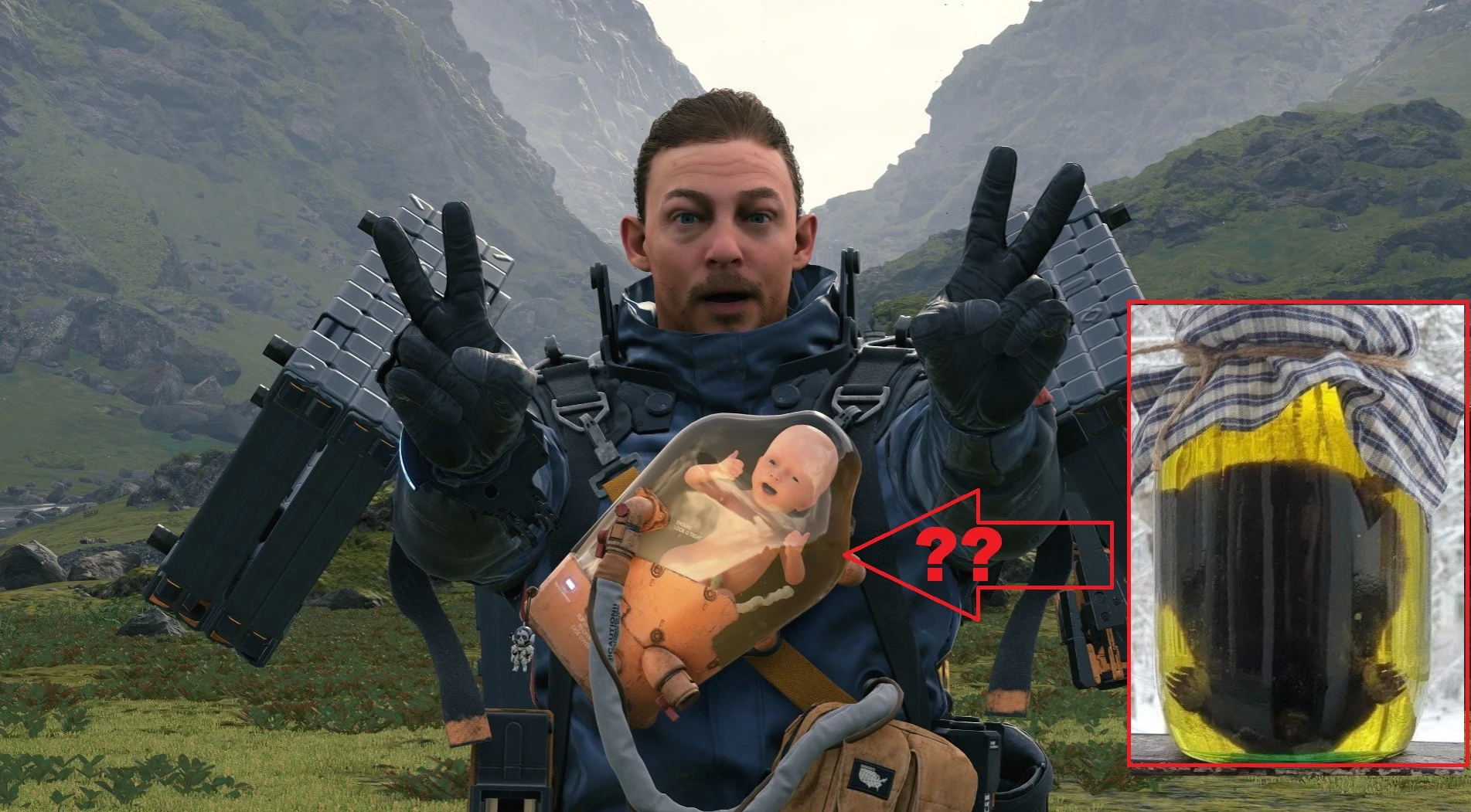 Кротовуха Кодзимы