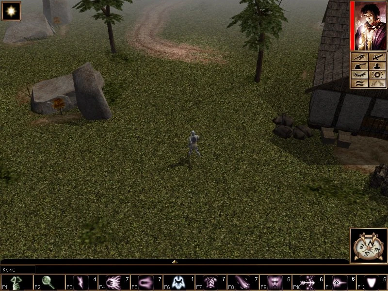 Neverwinter Nights "Arcadi Knights 14"