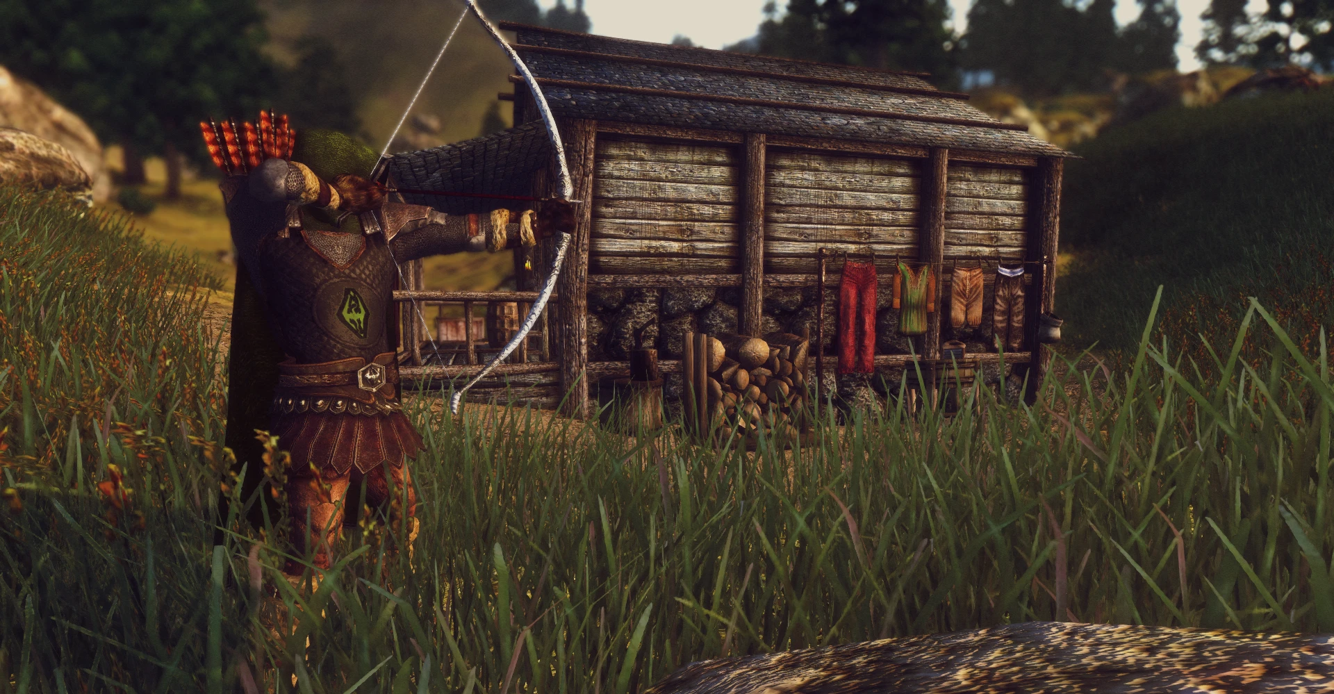 TES 4: Oblivion "Аванпосты Имперского Легиона"