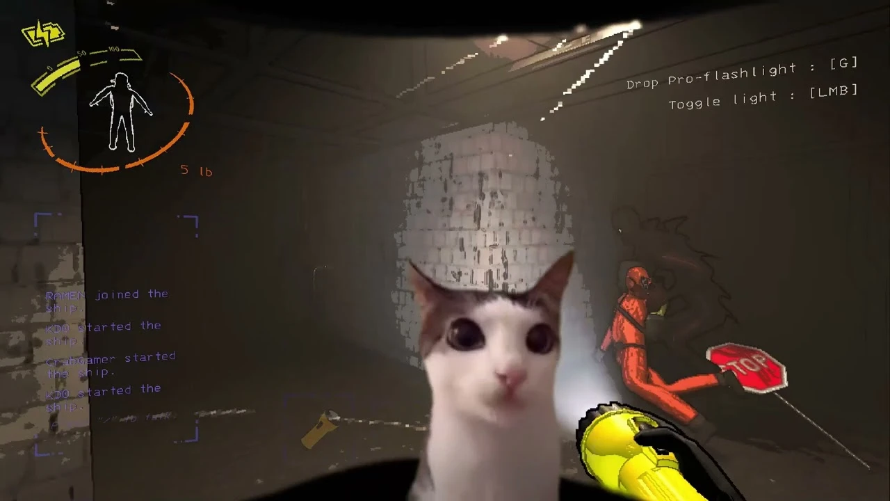 10 смертельных моментов в компании