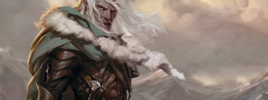 Кооперативный экшен Dark Alliance можно будет пройти и одному