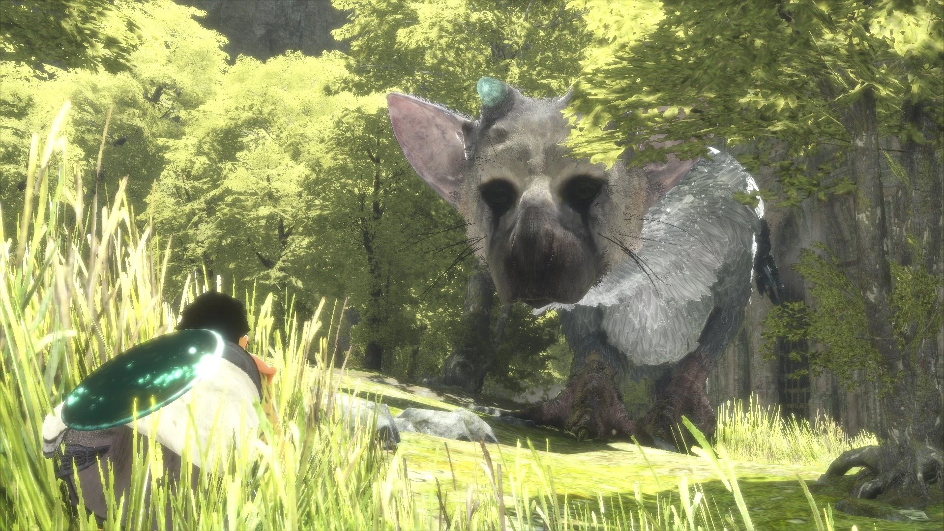 The Last Guardian получит поддержку разрешения 4K на PS4 Pro