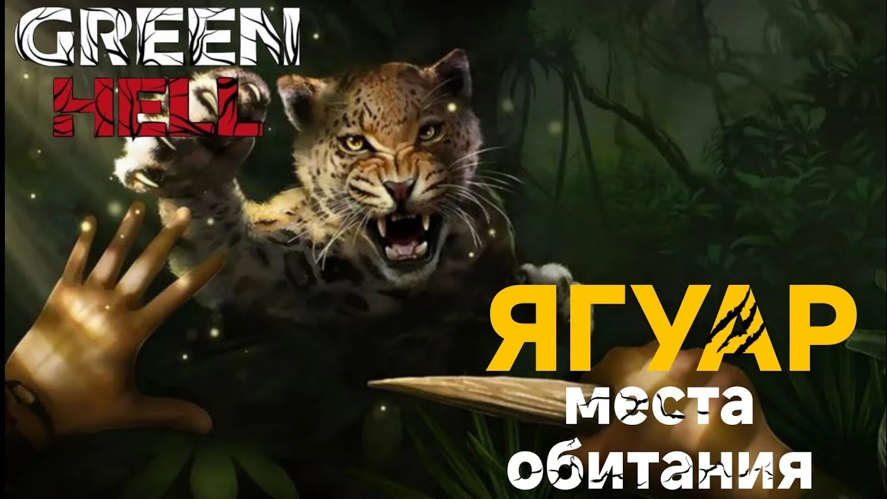 Опасные кошки джунглей: карта ареалов обитания ягуаров и пум в Green Hell