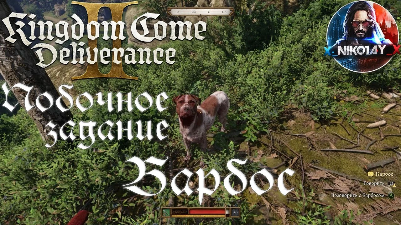 Kingdom Come: Deliverance 2 - Как найти собаку? Полное прохождение задания "Барбос"