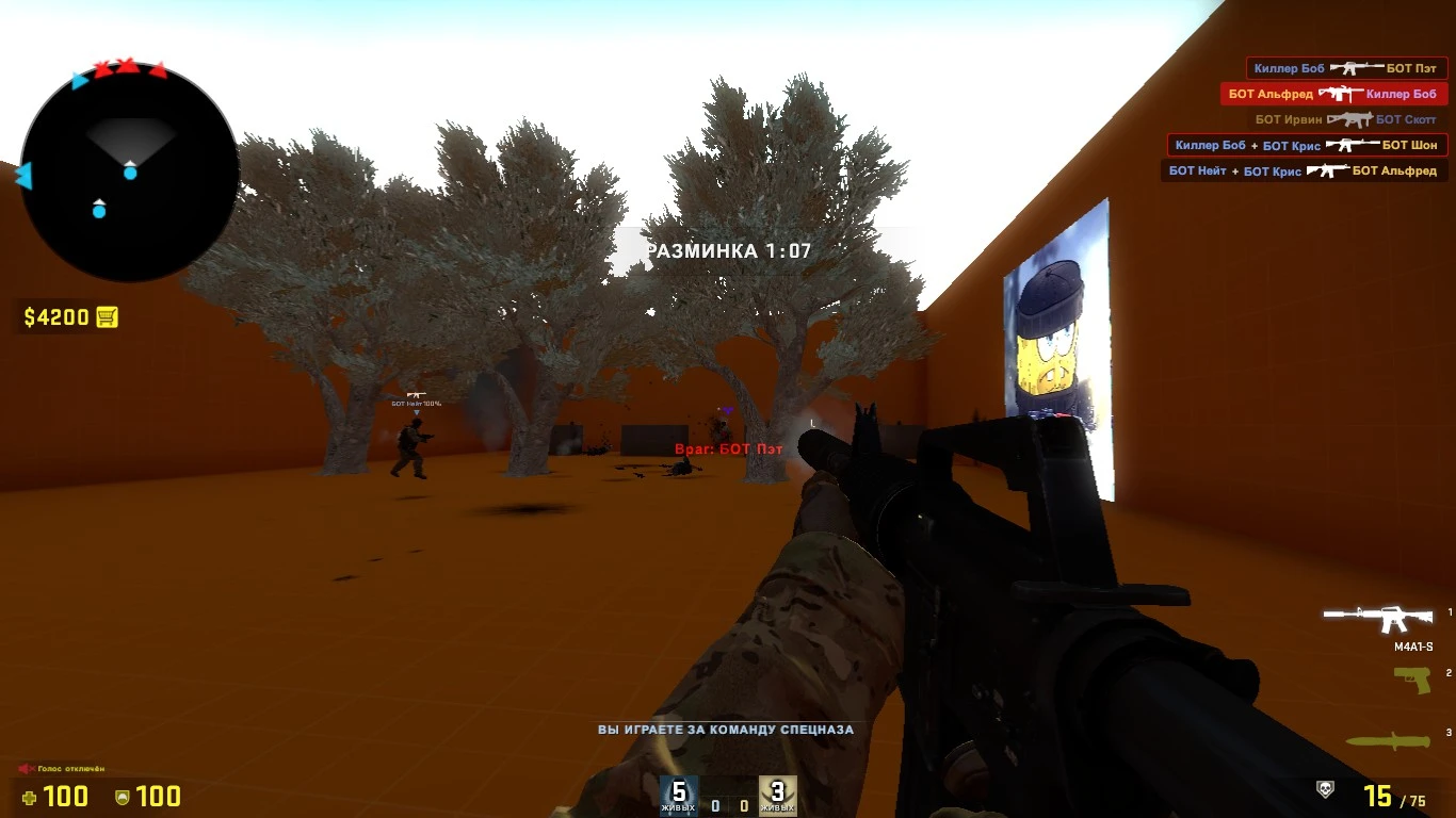 Counter-Strike: Global Offensive "Карта De Aim"