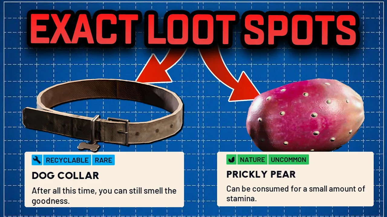 Необходимые предметы и места их добычи для прокачки Плюшкина в ARC Raiders