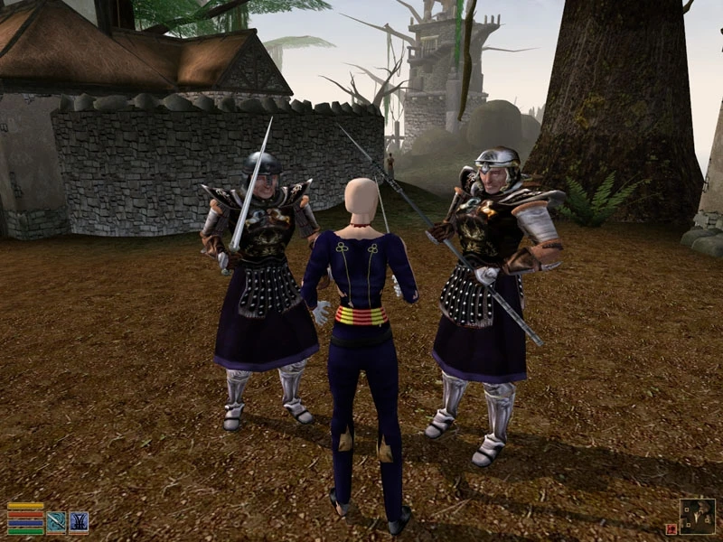 Morrowind "Гусарский мундир"