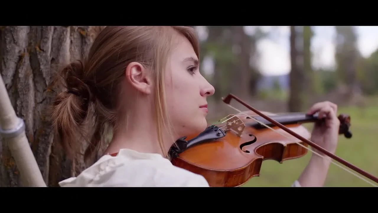 Тема Ведьмака 3 на скрипке