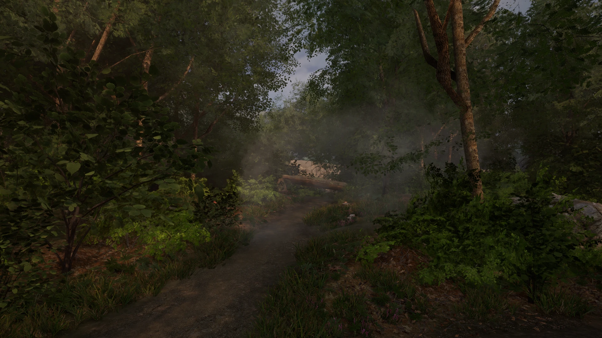 Прогулка главного героя "Храма Зеленой Луны" в лесу