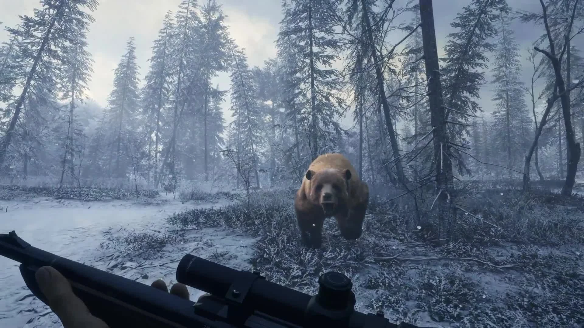 TheHunter: Call of the Wild отправится в тайгу к медведям