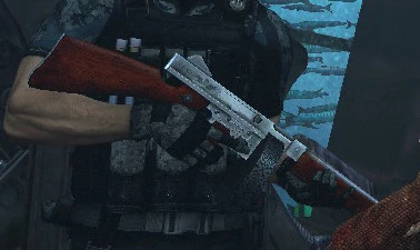 Resident Evil: Revelations 2 "Weapons Pack - Strykzone"