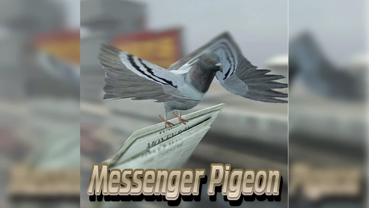 Garry's Mod "Почтовый голубь"