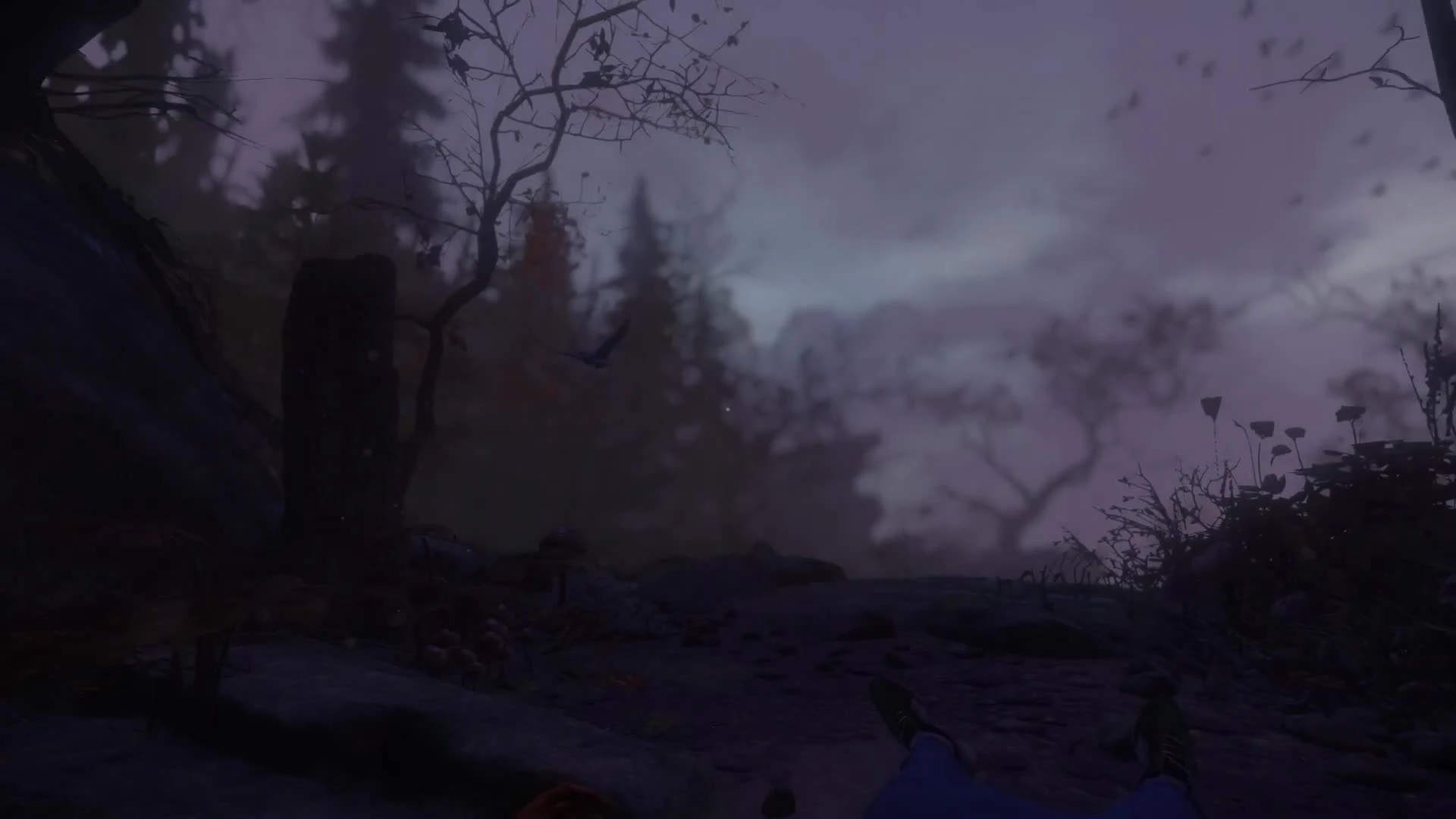 Геймплейный трейлер хоррора The Cursed Forest