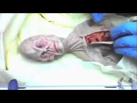 Реально или фейк?