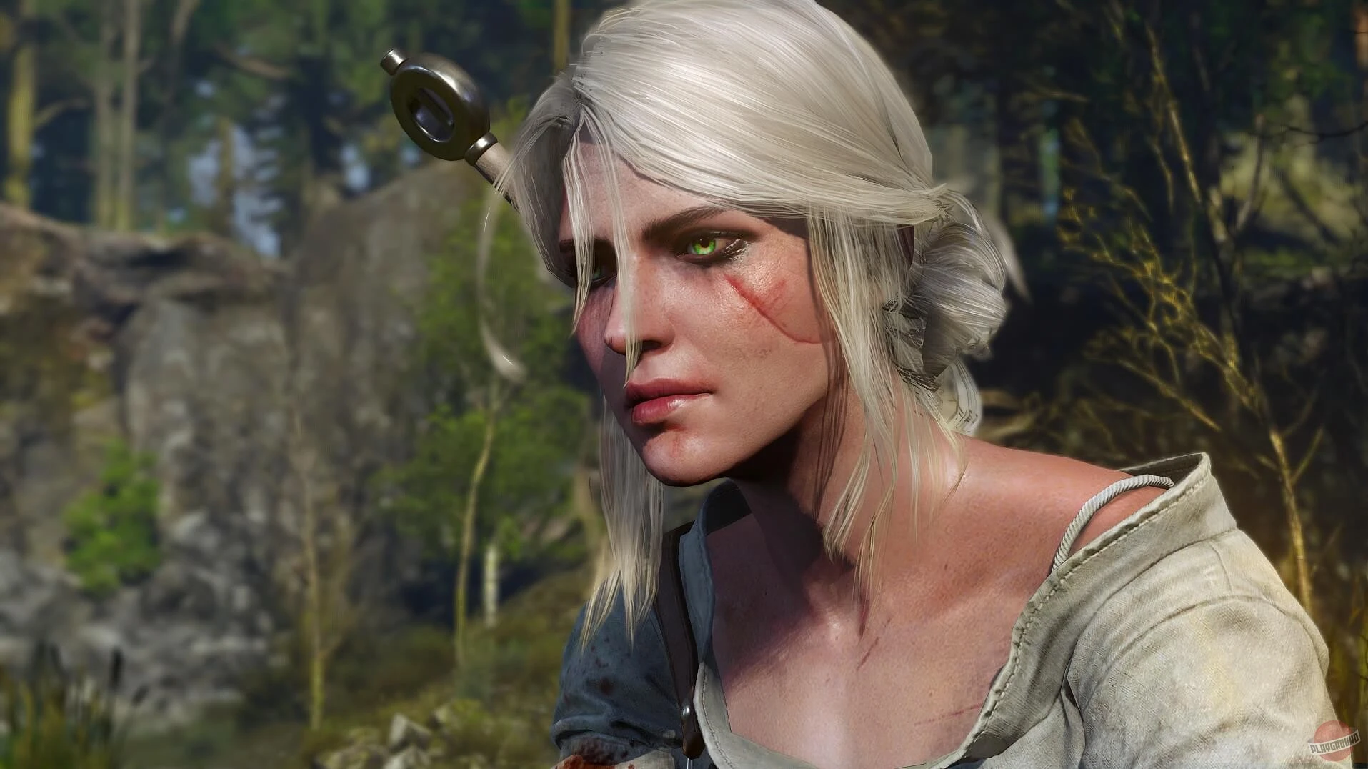 CD Projekt Red может выпустить еще одно дополнение к The Witcher 3