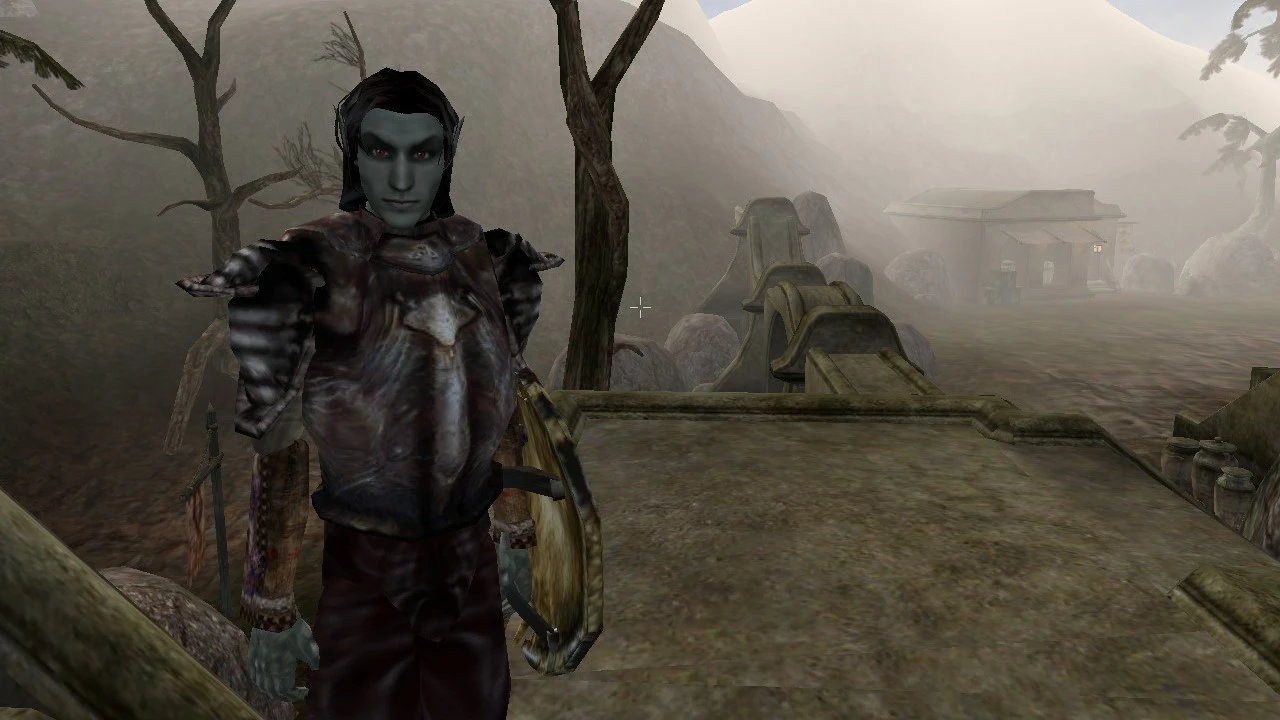 Morrowind "Компаньон-эшлендер Джулан"