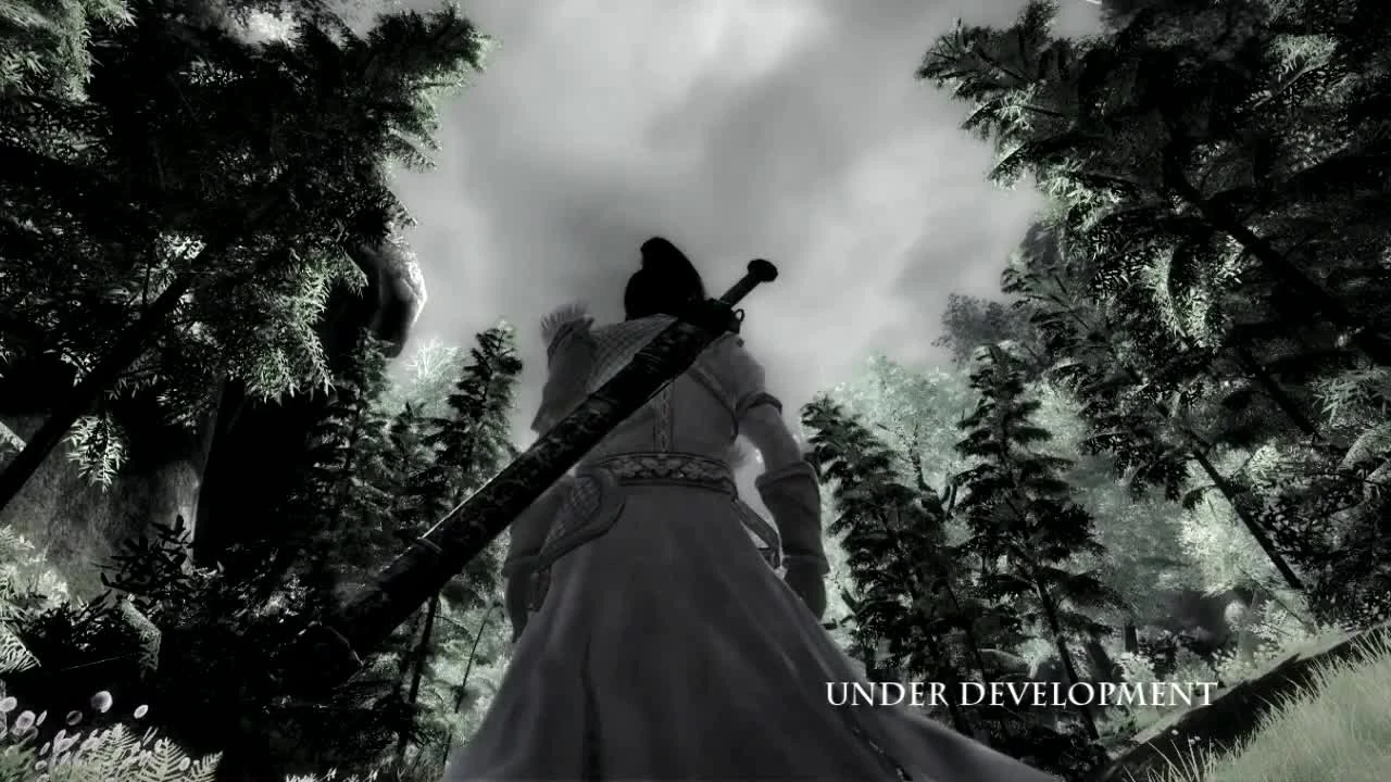 Age of Wushu "Демонстрация дождя"