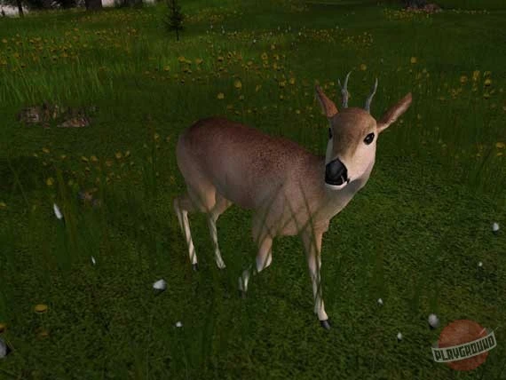 Запись на охоту