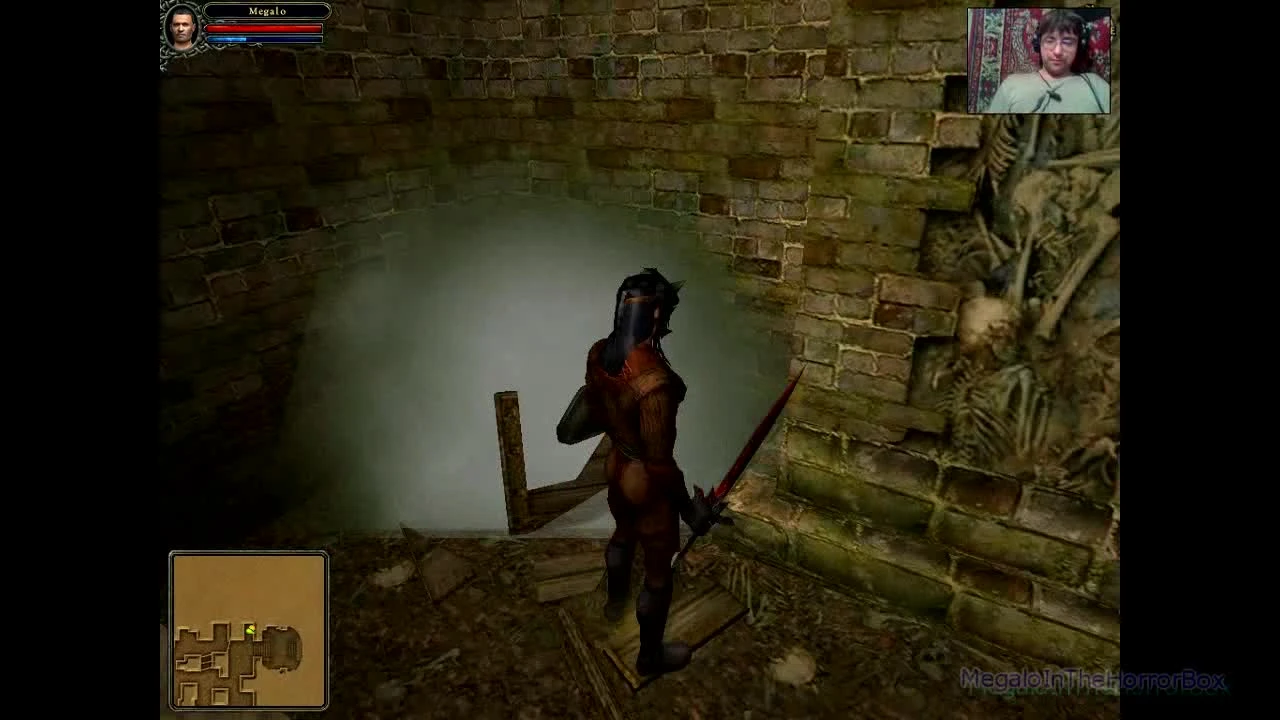 Dungeon Lords - Качаемся до повелителя смерти 5. Рог в катакомбах (прохождение на русском)