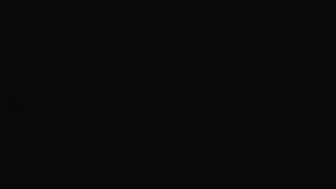 Warhammer: Mark of Chaos Launch