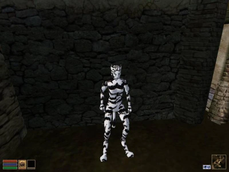 Morrowind "Раса снежных тигров"