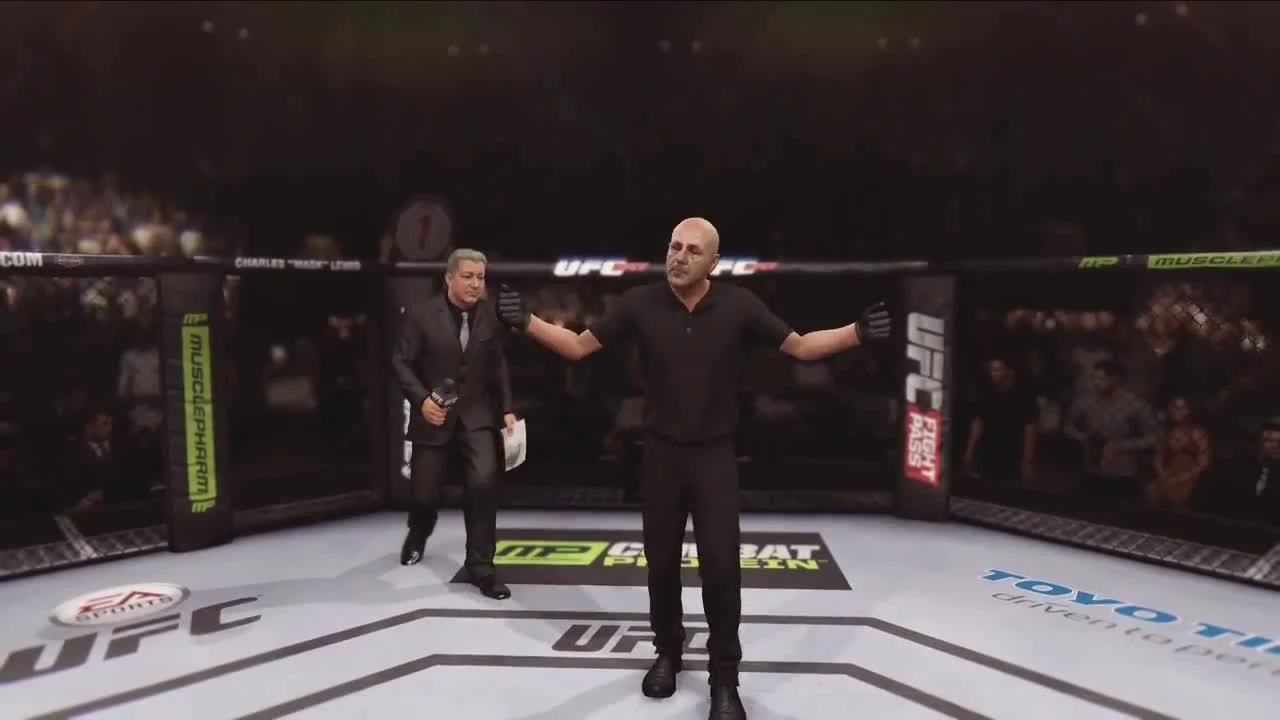 EA Sprots UFC "Геймплей"