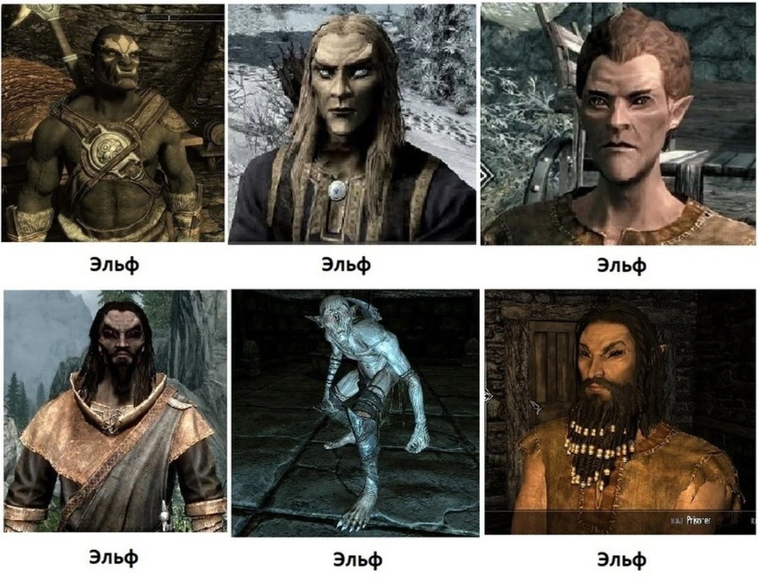 Эльфы в Тамриэле