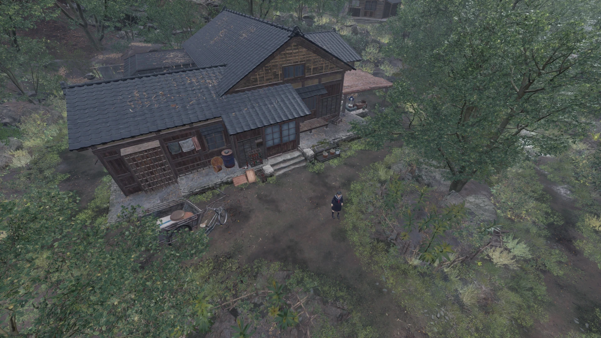 Silent Hill f "Инструмент свободной камеры (FreeCam)"