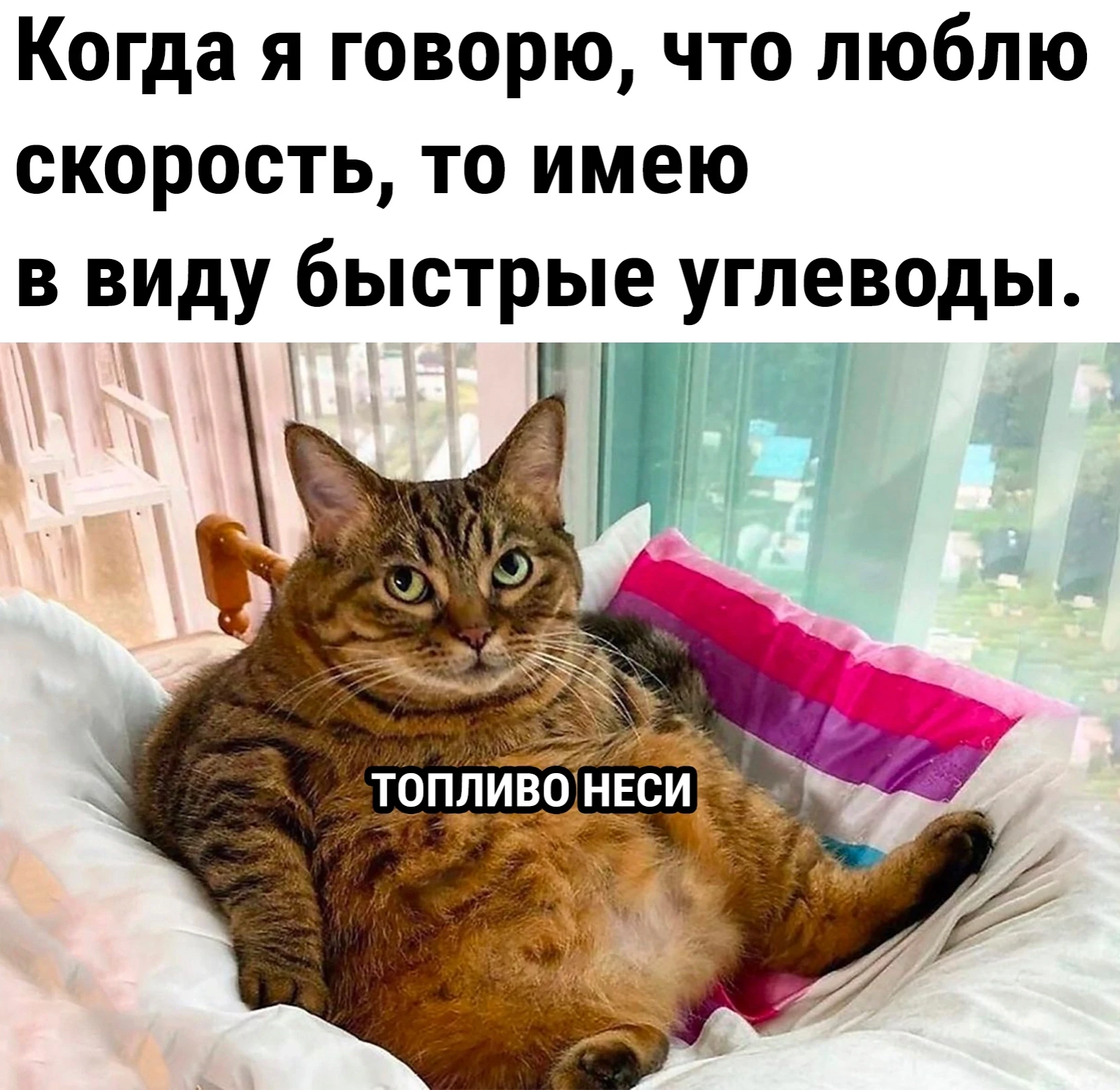 Кухонные испытание