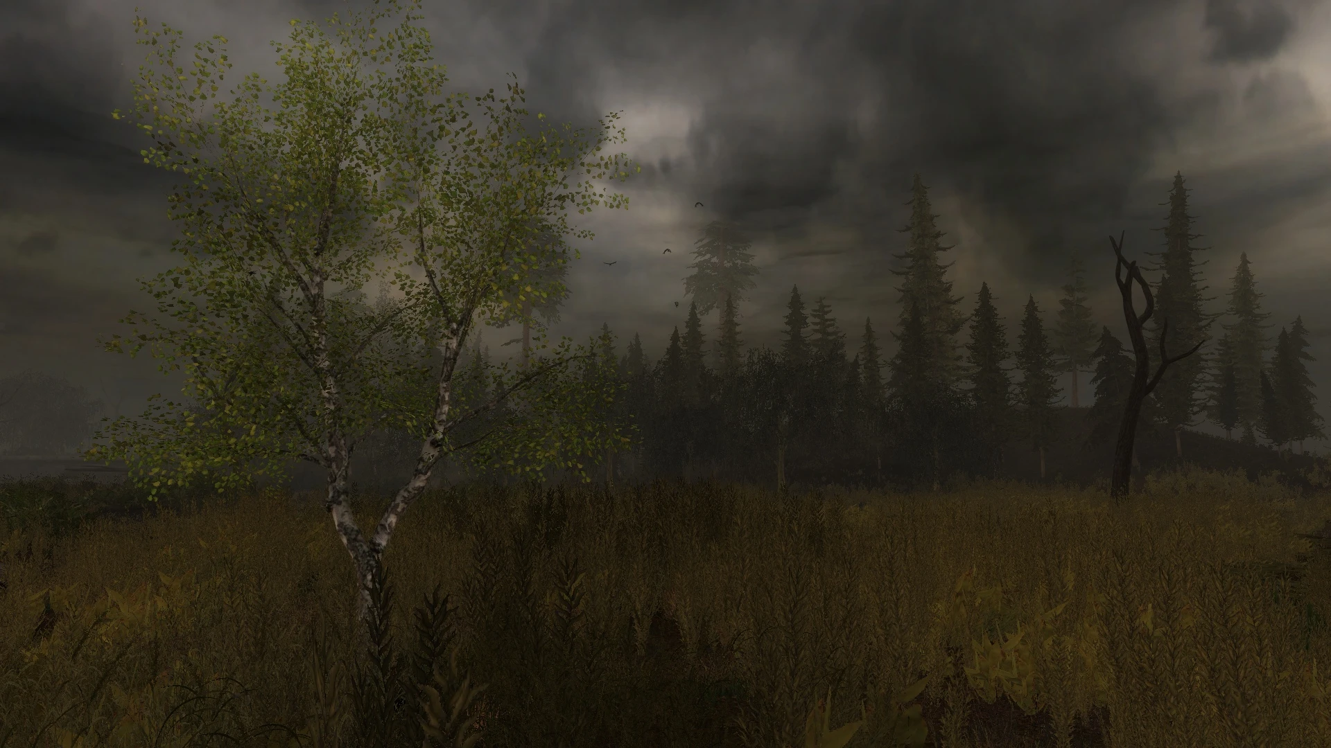 S.T.A.L.K.E.R.: Call of Pripyat "Проект: Отступник"