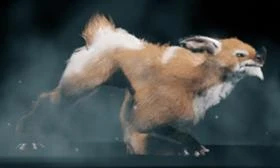 Warframe - Куброу - Huras