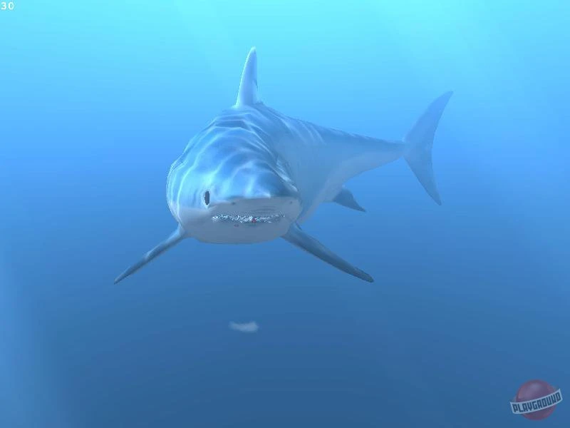 Diver: Deep Water Adventures. Аквалангисты - это не игра!