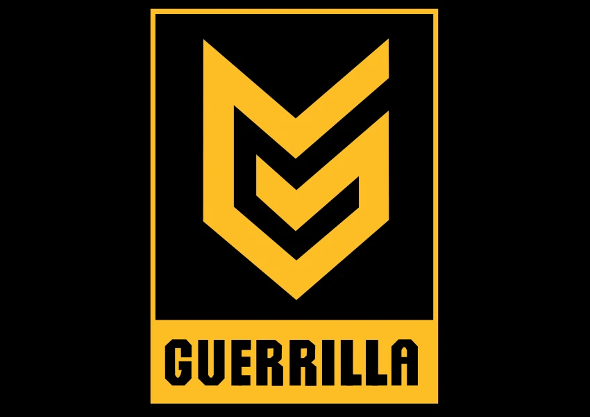 Guerrilla Games приступила к работе над новым брендом