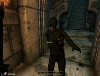 TES 4 Oblivion "Разнообразные зомби"
