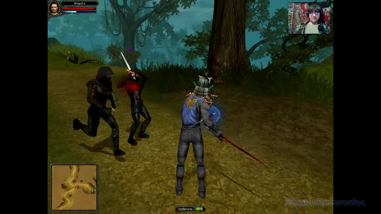 Dungeon Lords - Качаемся до повелителя смерти 15. Дворец в Фаргруве (прохождение на русском)