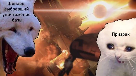 База Коллекционеров