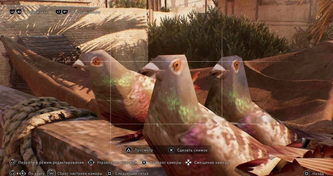 Голуби из нового Assassin's Creed: Mirage выглядят нa вcю мощь нeкст-гeна